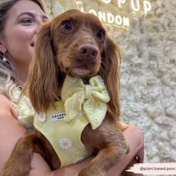 Cocopup Sailor Bow Ties-Buttercup Pup Sailor Bow Tie