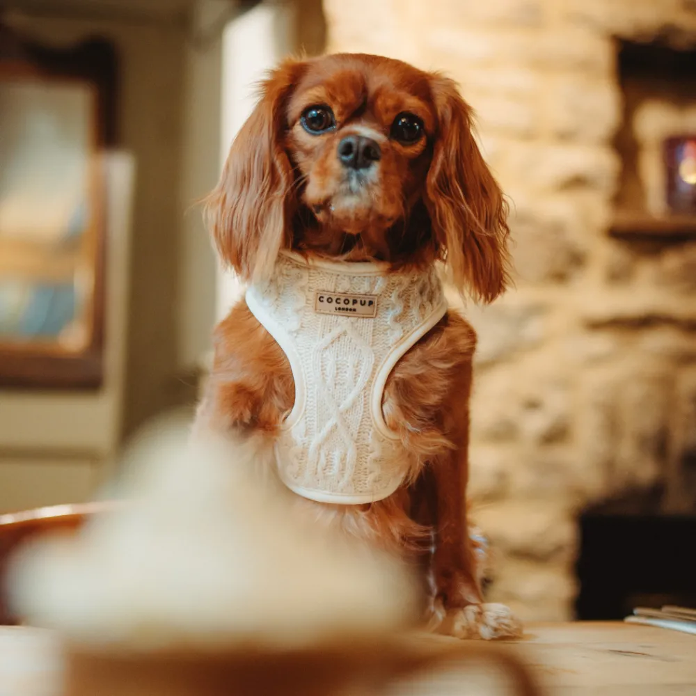 Cocopup Adjustable Neck Harnesses-Cable Knit Jumper Adjustable Neck HARNESS - Vanilla Puppucino
