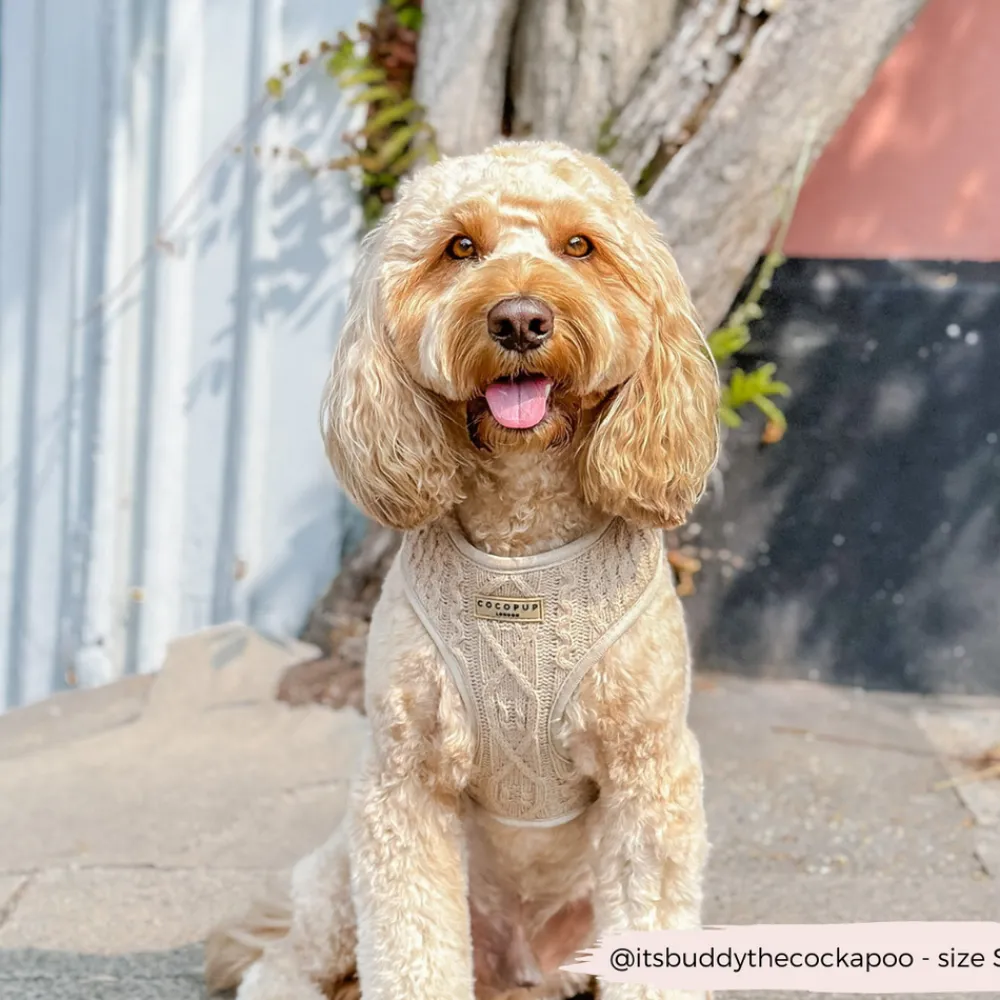 Cocopup Adjustable Neck Harnesses-Cable Knit Jumper Adjustable Neck HARNESS - Toffee Pup Latte