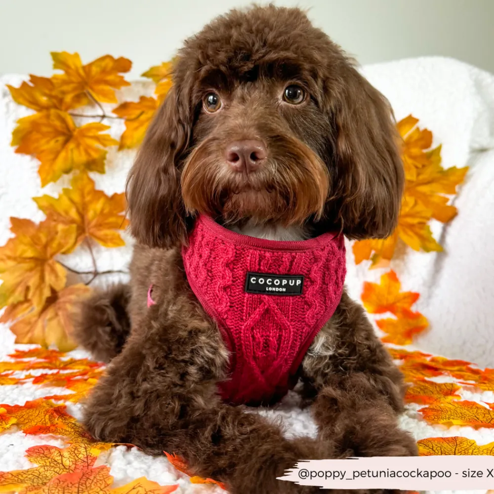 Cocopup Adjustable Neck Harnesses-Cable Knit Jumper Adjustable Neck HARNESS - Mulled Pup Wine