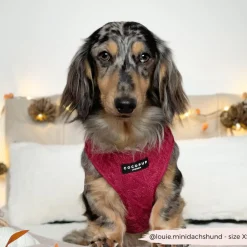 Cocopup Adjustable Neck Harnesses-Cable Knit Jumper Adjustable Neck HARNESS - Mulled Pup Wine