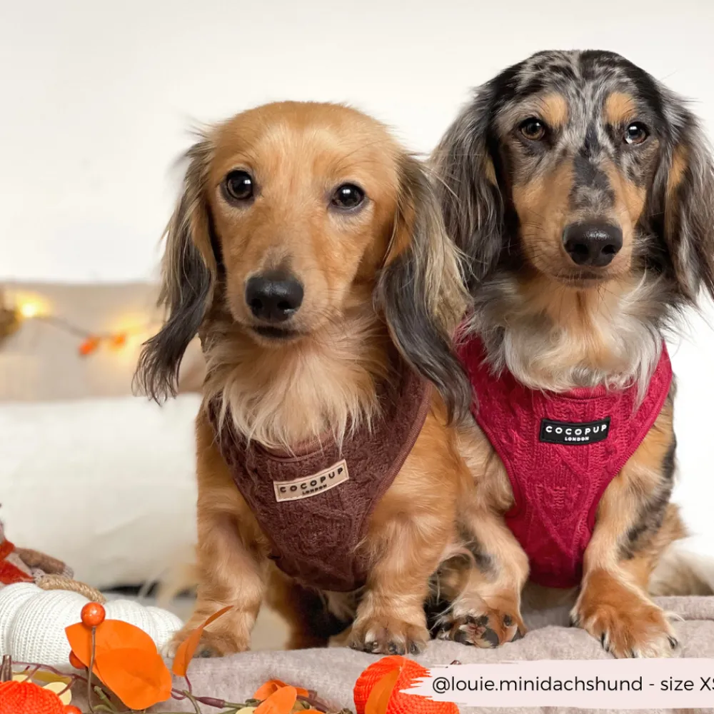 Cocopup Adjustable Neck Harnesses-Cable Knit Jumper Adjustable Neck HARNESS - Mulled Pup Wine