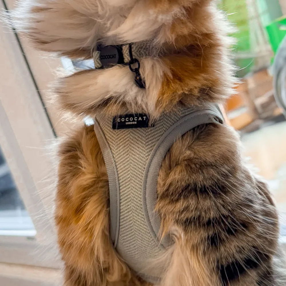 Cocopup Cat Collars | Cat Collars-Cat Collar - Sage Tweed
