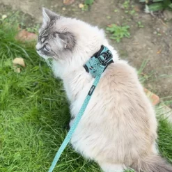 Cocopup Cat Harnesses | Cat Harnesses-Cat Harness - Khaki Leopard
