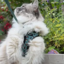 Cocopup Cat Harnesses | Cat Harnesses-Cat Harness - Khaki Leopard