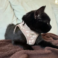 Cocopup Cat Harnesses | Cat Harnesses-Cat Harness - Mocha Flower