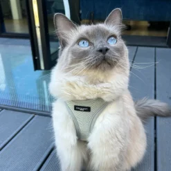 Cocopup Cat Harnesses | Cat Harnesses-Cat Harness - Sage Tweed