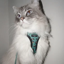 Cocopup Cat Bundles | Cat Harness Bundles-Cat Harness, Lead and Collar Bundle - Khaki Leopard