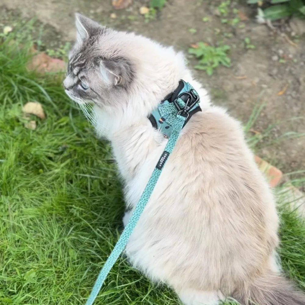 Cocopup Cat Leads | Cat Leads-Cat Lead - Khaki Leopard