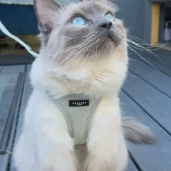 Cocopup Cat Leads | Cat Leads-Cat Lead - Sage Tweed