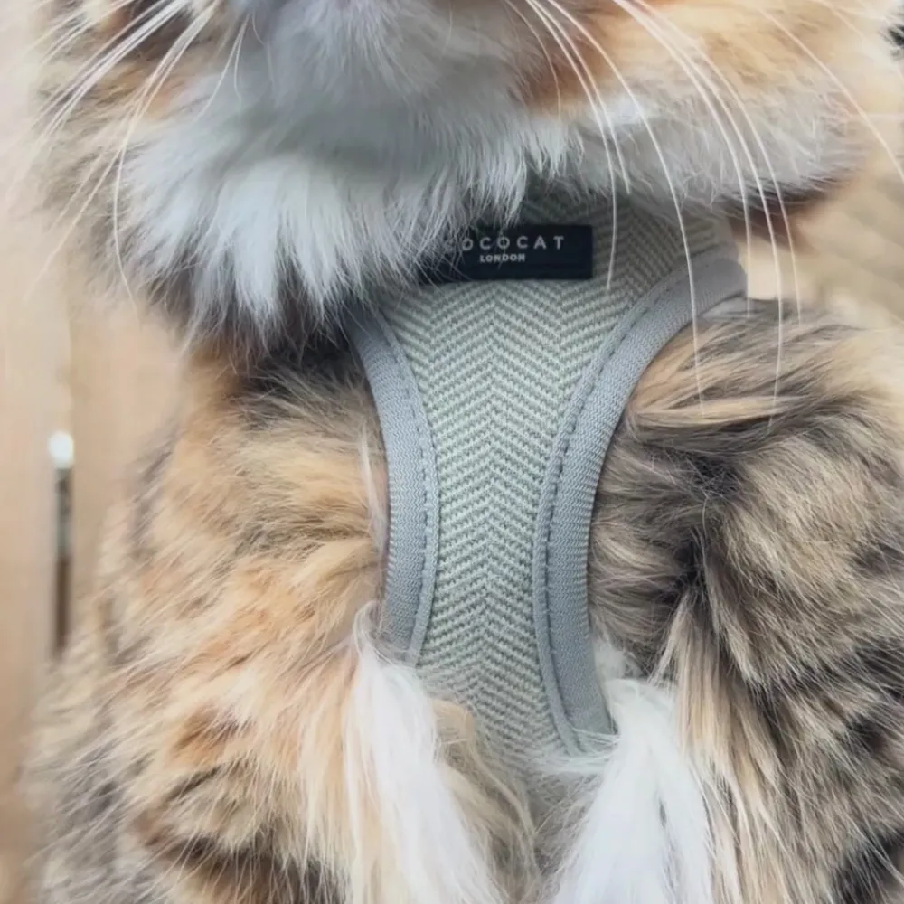 Cocopup Cat Leads | Cat Leads-Cat Lead - Sage Tweed