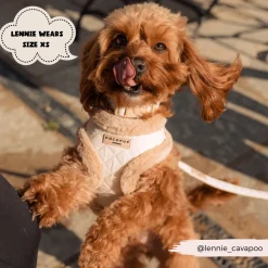 Cocopup Adjustable Harness Bundles-Cream Quilted Adjustable Neck Harness, Lead & Collar Bundle