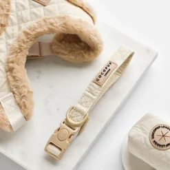 Cocopup Collars | Puppy Leads & Collars-Cream Quilted COLLAR