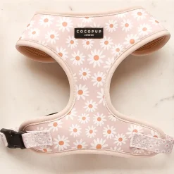 Cocopup Adjustable Neck Harnesses-Daisy Chain Adjustable Neck HARNESS