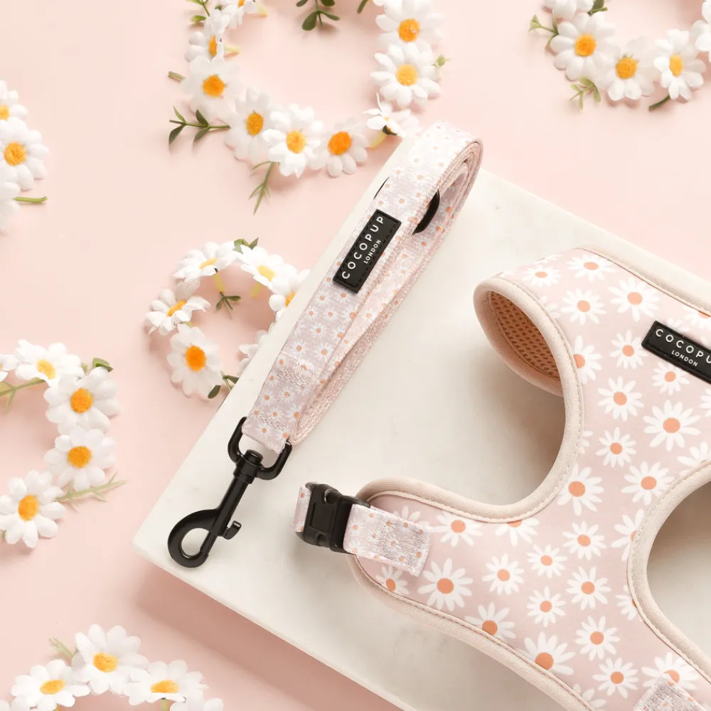 Cocopup Adjustable Harness Bundles-Daisy Chain Adjustable Neck Harness, Lead & Collar Bundle