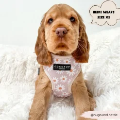 Cocopup Adjustable Neck Harnesses-Daisy Chain Adjustable Neck HARNESS