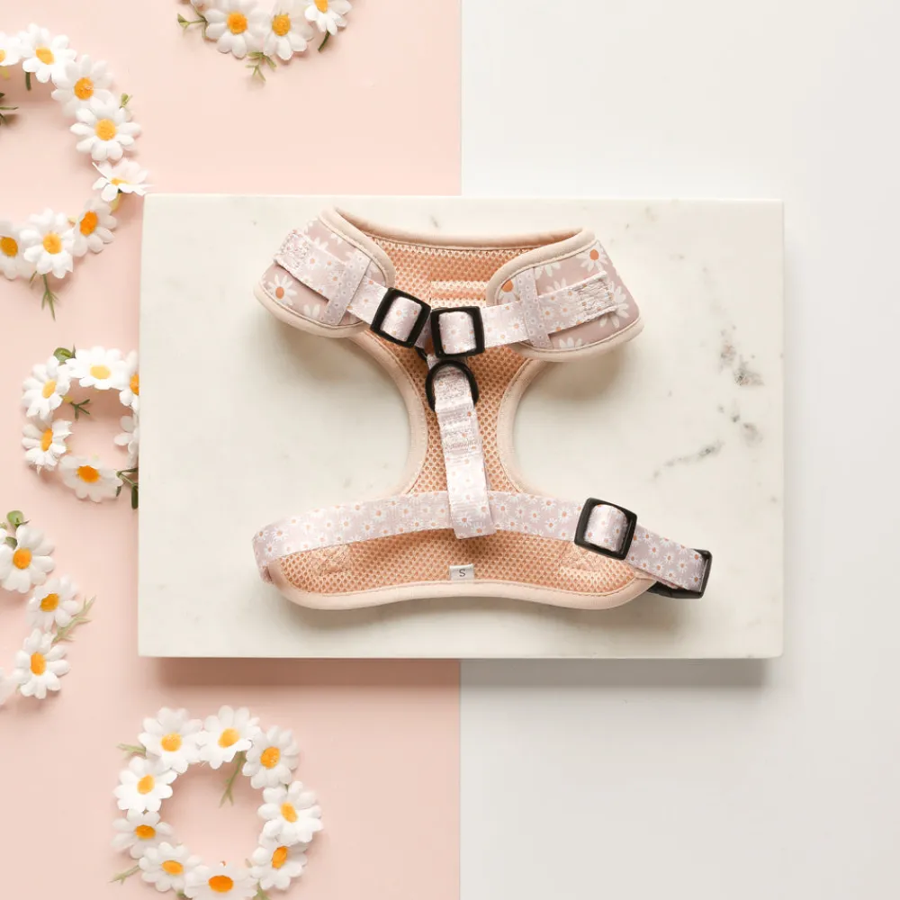 Cocopup Adjustable Harness Bundles-Daisy Chain Adjustable Neck Harness, Lead & Collar Bundle