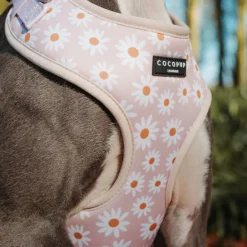 Cocopup Adjustable Neck Harnesses-Daisy Chain Adjustable Neck HARNESS