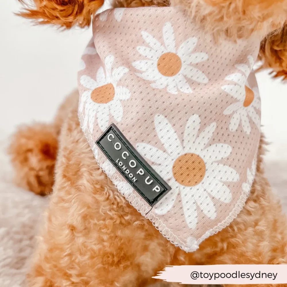 Cocopup Bandanas-Daisy Chain Bandana
