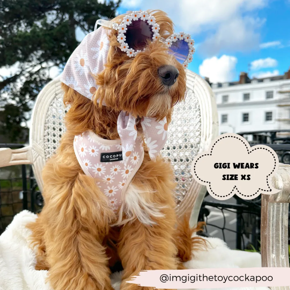 Cocopup Bandanas-Daisy Chain Bandana