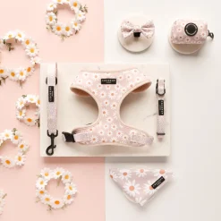 Cocopup Bow Ties-Daisy Chain Bow Tie