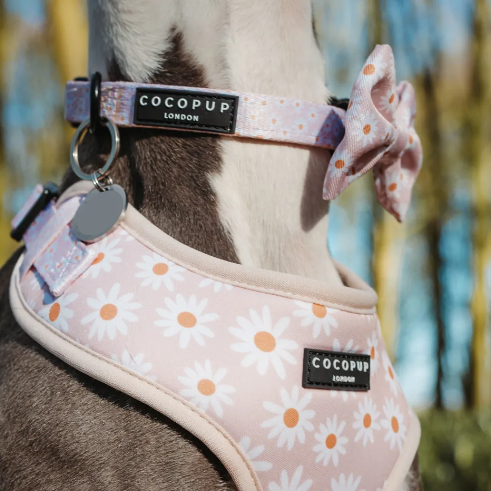 Cocopup Collars | Puppy Leads & Collars-Daisy Chain Collar