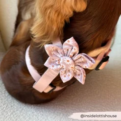 Cocopup Collar Flowers-Daisy Chain Collar Flower