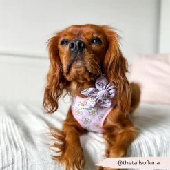 Cocopup Collar Flowers-Daisy Gingham Rave Collar Flower