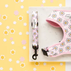 Cocopup Leads-Daisy Gingham Rave Lead