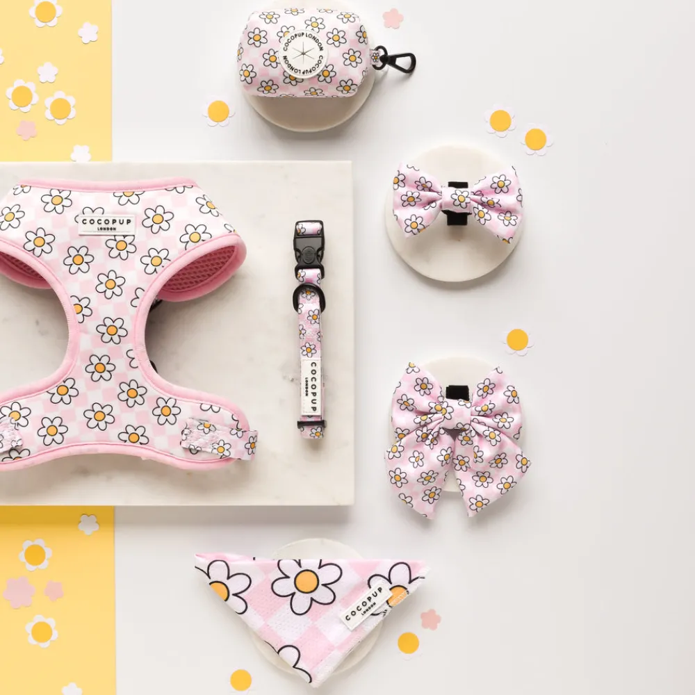 Cocopup Sailor Bow Ties-Daisy Gingham Rave Sailor Bow Tie