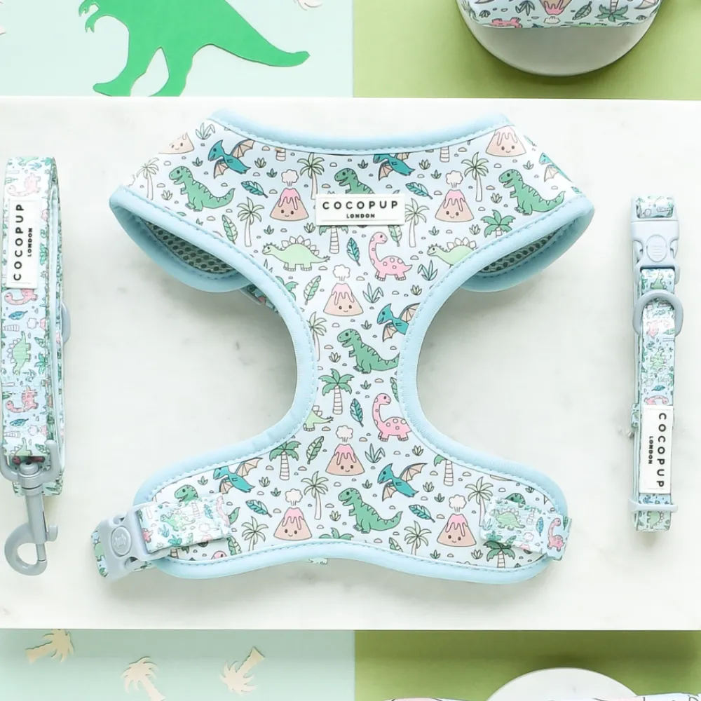 Cocopup Adjustable Harness Bundles-Dinopaws Adjustable Neck Harness, Lead & Collar Bundle