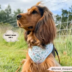 Cocopup Adjustable Neck Harnesses-Dinopaws Adjustable Neck HARNESS
