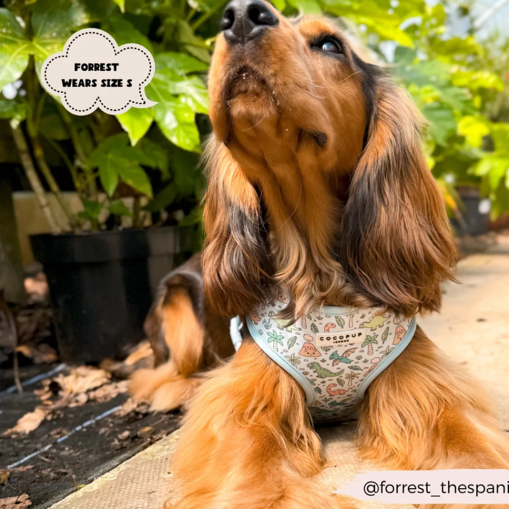 Cocopup Adjustable Harness Bundles-Dinopaws Adjustable Neck Harness, Lead & Collar Bundle