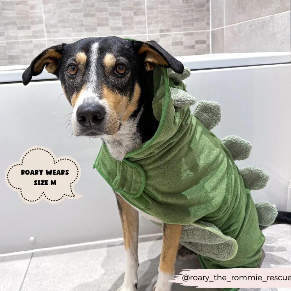 Cocopup Drying Robes ð§-Dinopup Drying Robe