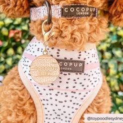 Cocopup Collar Charms-Dog Collar Charm - Crew