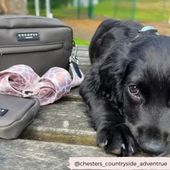 Cocopup Dog Walking Bags-Dog Walking Bag - Mocha