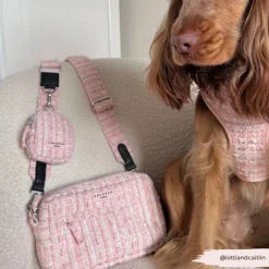 Cocopup Dog Walking Bags-Dog Walking Bag - Pink Textured Tweed