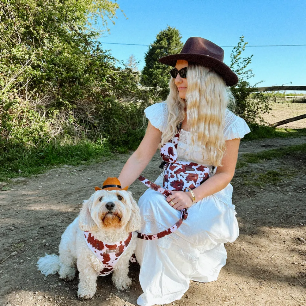 Cocopup Dog Walking Bags-Dog Walking Bag - Rodeo Pup