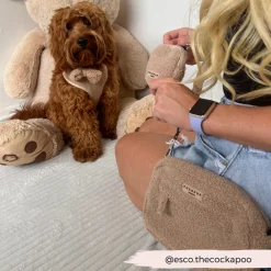 Cocopup Rucksack Accessories | Dog Walking Bags-Dog Walking Bag - Teddy Rupert