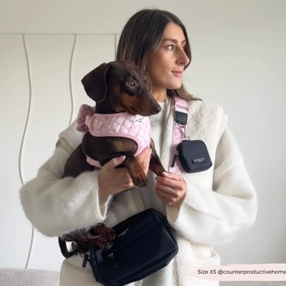 Cocopup Classic Bag Bundles-Dog Walking Black Bag Bundle - Quilted Ditsy Floral Pink