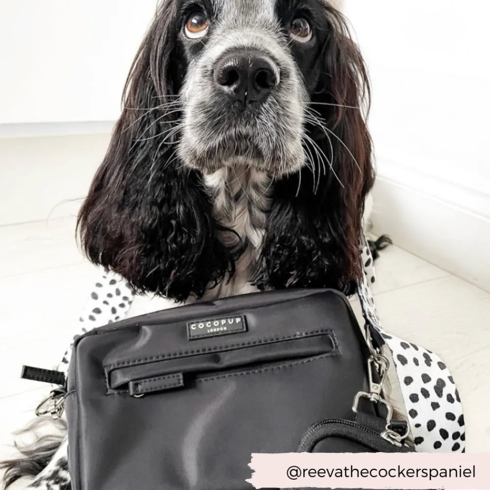 Cocopup Classic Bag Bundles-Dog Walking Black Bag Bundle - Monochrome Spots
