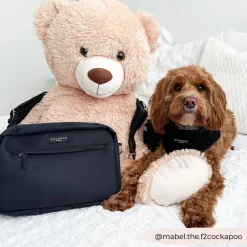Cocopup Classic Bag Bundles-Dog Walking Black Bag Bundle - Teddy Baloo