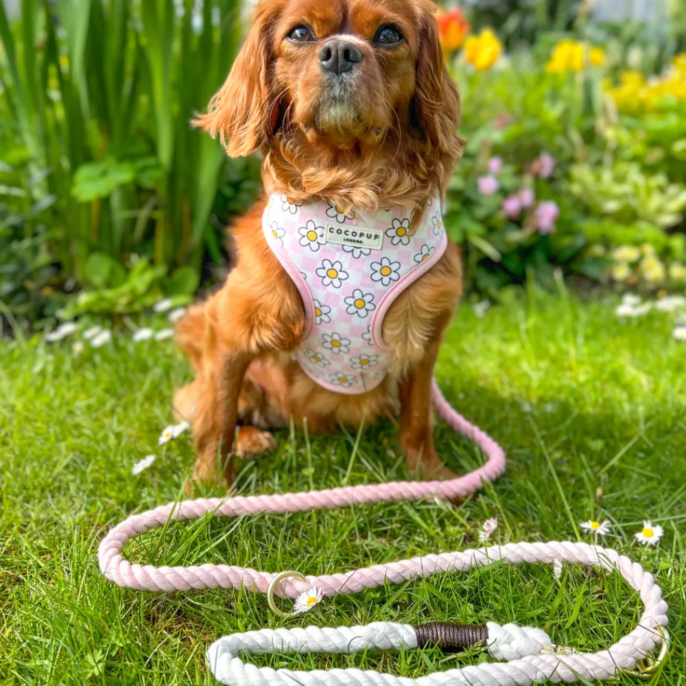 Cocopup Rope Leads-Double Ended Rope Lead - Baby Pink