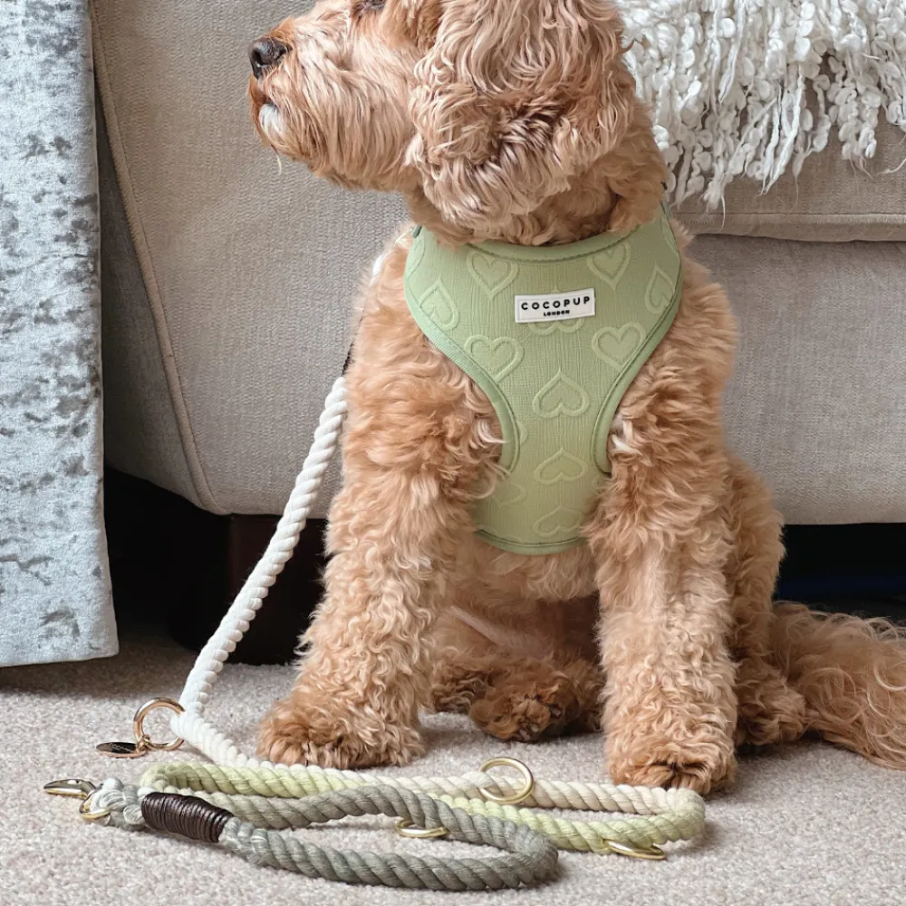 Cocopup Rope Leads-Double Ended Rope Lead - Pistachio Green