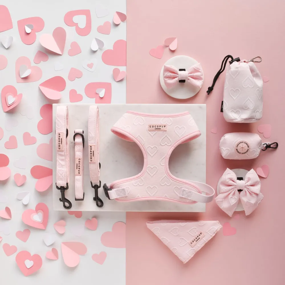 Cocopup Drawstring Treat Pouches-Drawstring Treat Pouch - Baby Pink Heart