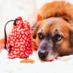 Cocopup Drawstring Treat Pouches | Rucksack Accessories-Drawstring Treat Pouch - Red & Pink Leopard