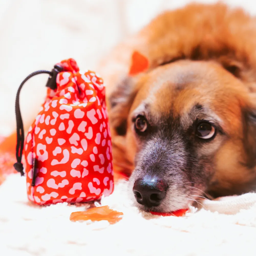 Cocopup Drawstring Treat Pouches | Rucksack Accessories-Drawstring Treat Pouch - Red & Pink Leopard