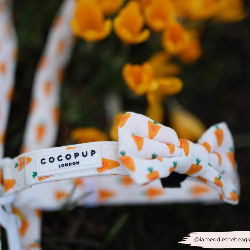 Cocopup Bow Ties-Easter Carrot Bow Tie