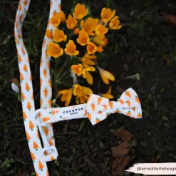 Cocopup Leads-Easter Carrot Lead