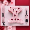 Cocopup Adjustable Harness Bundles-Embroidered Roses Teddy Adjustable Neck Harness, Lead & Collar Bundle